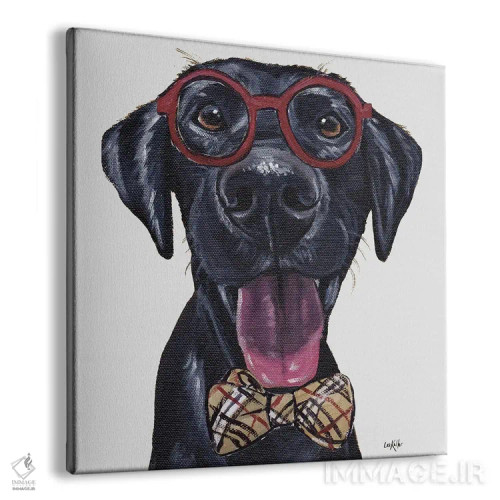 تابلو Black Lab With Glasses And Bowtie,لابراتوار سیاه مسافر با عینک و پاپیون اثر هیپی هاوند استودیوز (استودیو هنری) - نمای پرسپکتیو محصول