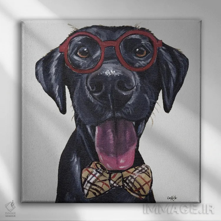 تابلو Black Lab With Glasses And Bowtie,لابراتوار سیاه مسافر با عینک و پاپیون اثر هیپی هاوند استودیوز (استودیو هنری) - نمای روبهرو روی دیوار