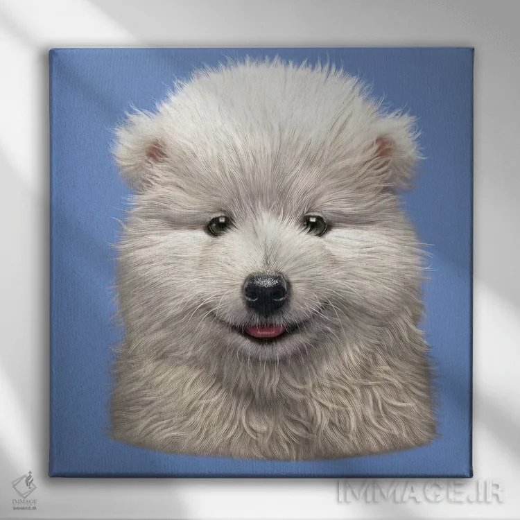 تابلو توله سگ سمویید اثر وینسنت های - نمای روبهرو روی دیوار