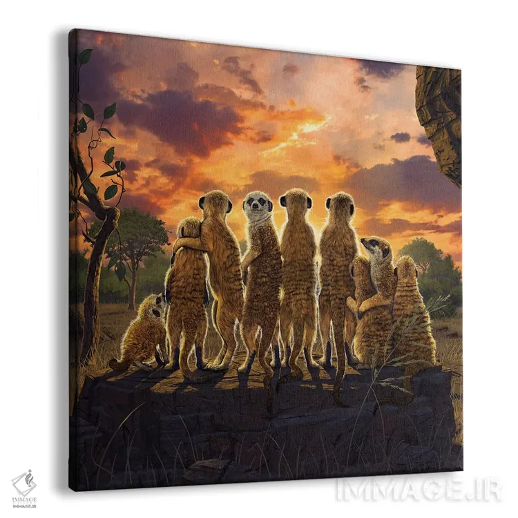 تابلو میرکتها (حیوان بیابانی) اثر وینسنت های - نمای پرسپکتیو محصول