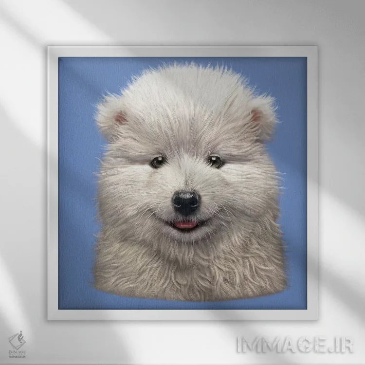 تابلو توله سگ سمویید اثر وینسنت های - نمای قابدار سفید