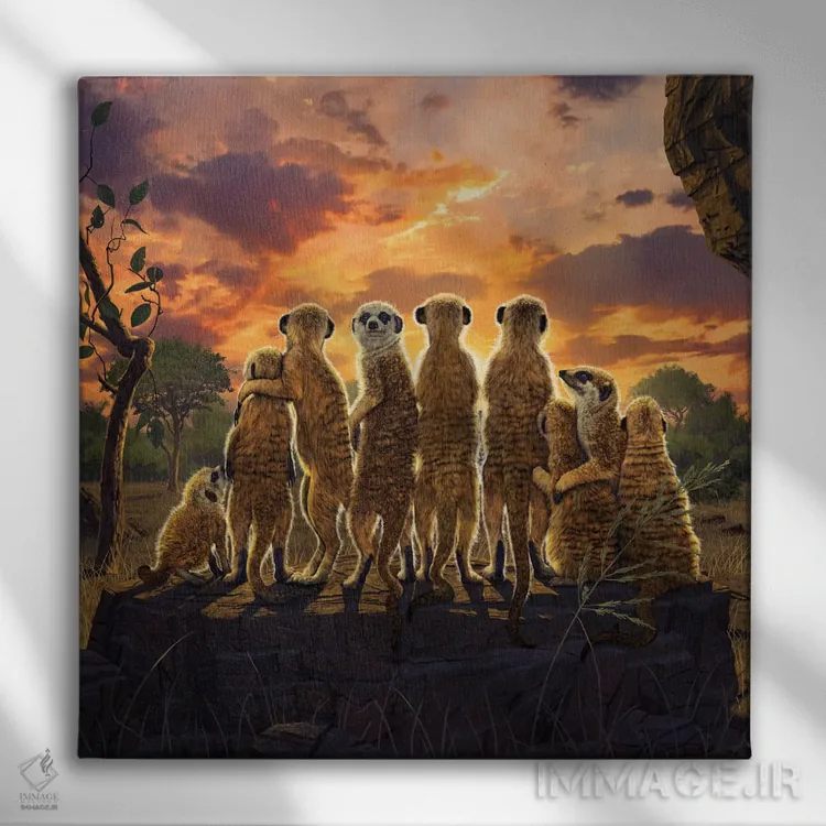 تابلو میرکتها (حیوان بیابانی) اثر وینسنت های - نمای روبهرو روی دیوار