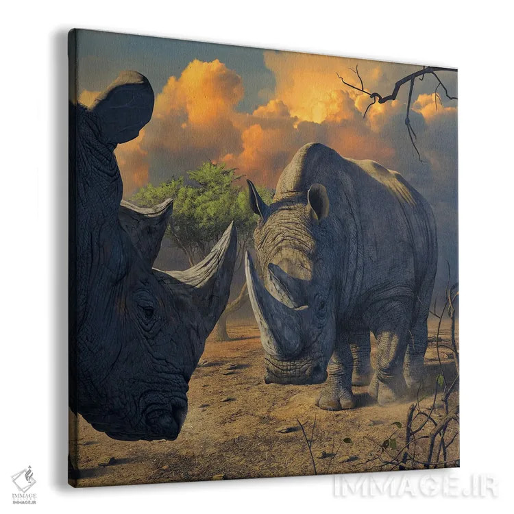 تابلو مقابله کرگدن اثر وینسنت های - نمای پرسپکتیو محصول