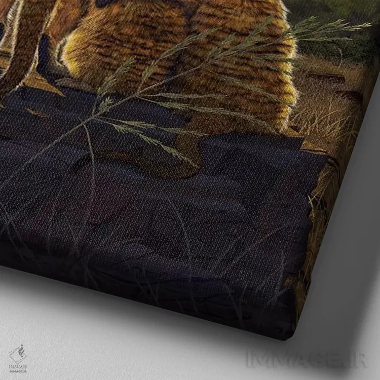 تابلو میرکتها (حیوان بیابانی) اثر وینسنت های - نمای نزدیک بافت بوم