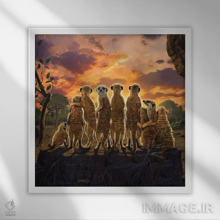 تابلو میرکتها (حیوان بیابانی) اثر وینسنت های - نمای قابدار سفید