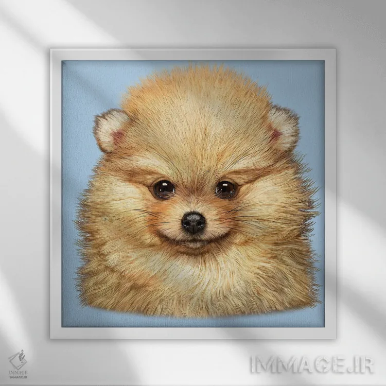 تابلو توله سگ پامرانین اثر وینسنت های - نمای قابدار سفید