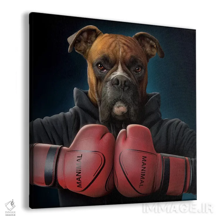تابلو بوکسور اثر وینسنت های - نمای پرسپکتیو محصول