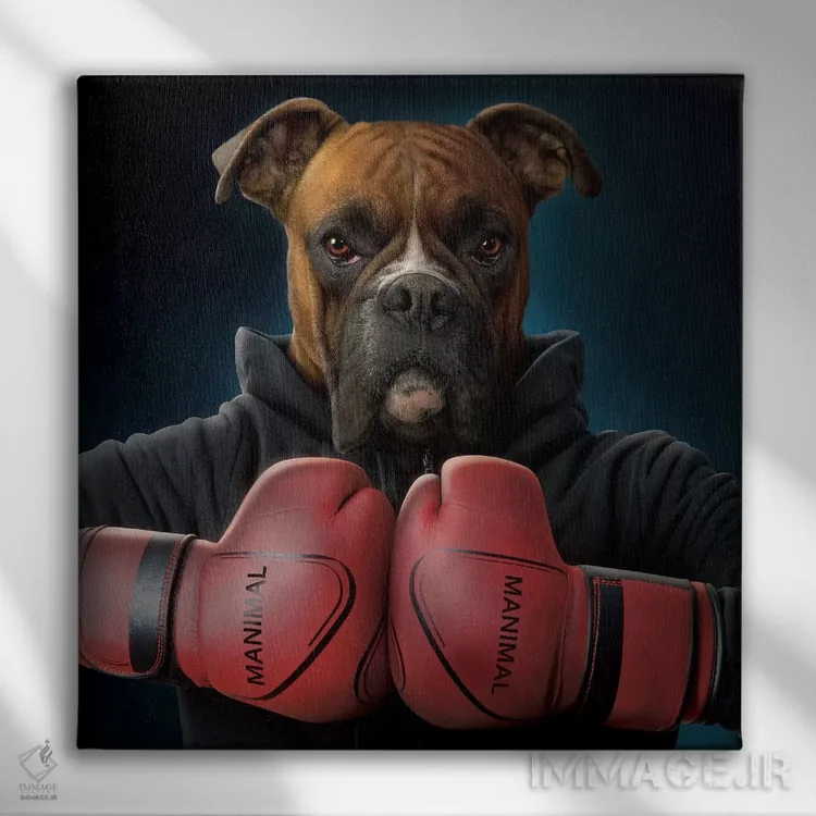 تابلو بوکسور اثر وینسنت های - نمای روبهرو روی دیوار