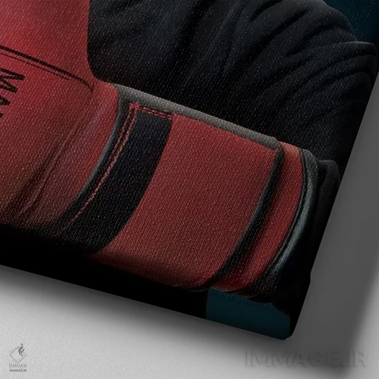 تابلو بوکسور اثر وینسنت های - نمای نزدیک بافت بوم