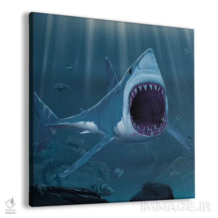 تابلو گاز کوسه اثر وینسنت های - نمای پرسپکتیو محصول