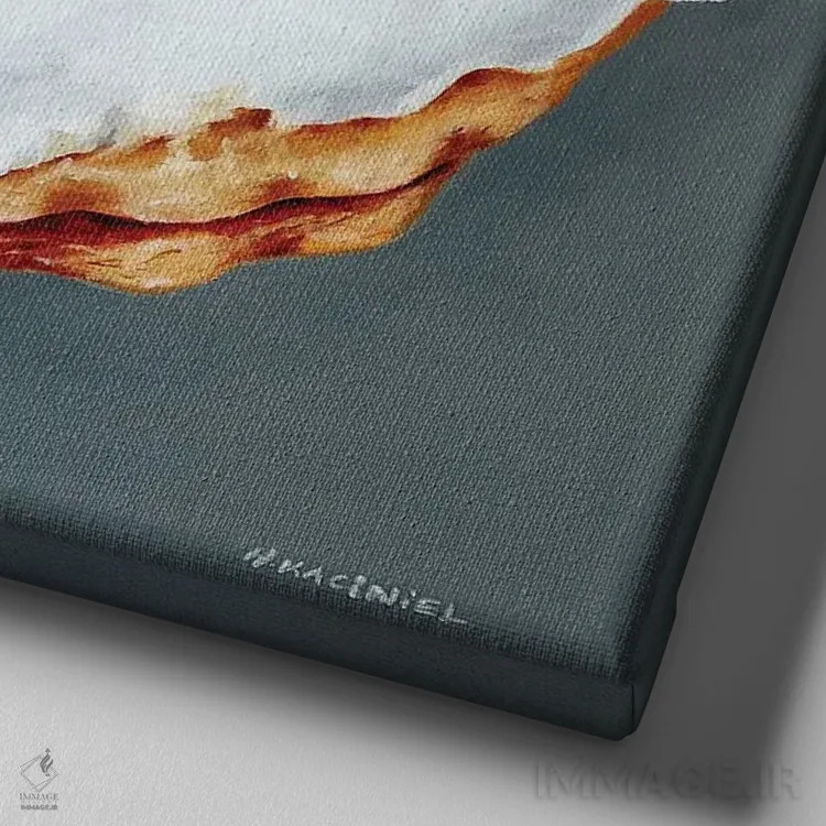 تابلو بیسکوییت امپایر اثر هانا کاچینیل - نمای نزدیک بافت بوم