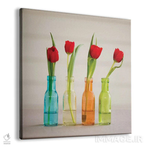 تابلو Florida, Celebration, Tulips,آمریکا، فلوریدا، سلبریشن، گلهای لاله اثر هولیس لونی - نمای پرسپکتیو محصول