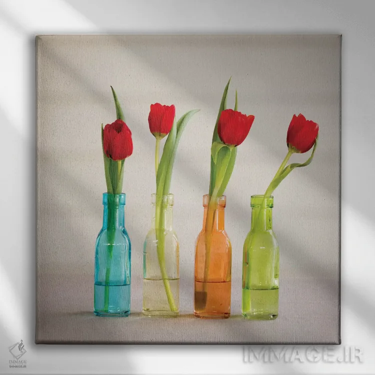 تابلو Florida, Celebration, Tulips,آمریکا، فلوریدا، سلبریشن، گلهای لاله اثر هولیس لونی - نمای روبهرو روی دیوار