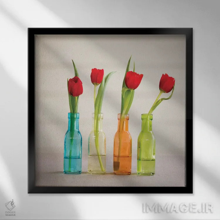 تابلو Florida, Celebration, Tulips,آمریکا، فلوریدا، سلبریشن، گلهای لاله اثر هولیس لونی - نمای قابدار مشکی