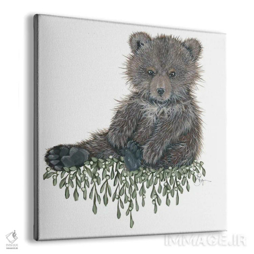 تابلو خرس کوچولو اثر هولیهکس آرت (استودیو هنری) - نمای پرسپکتیو محصول