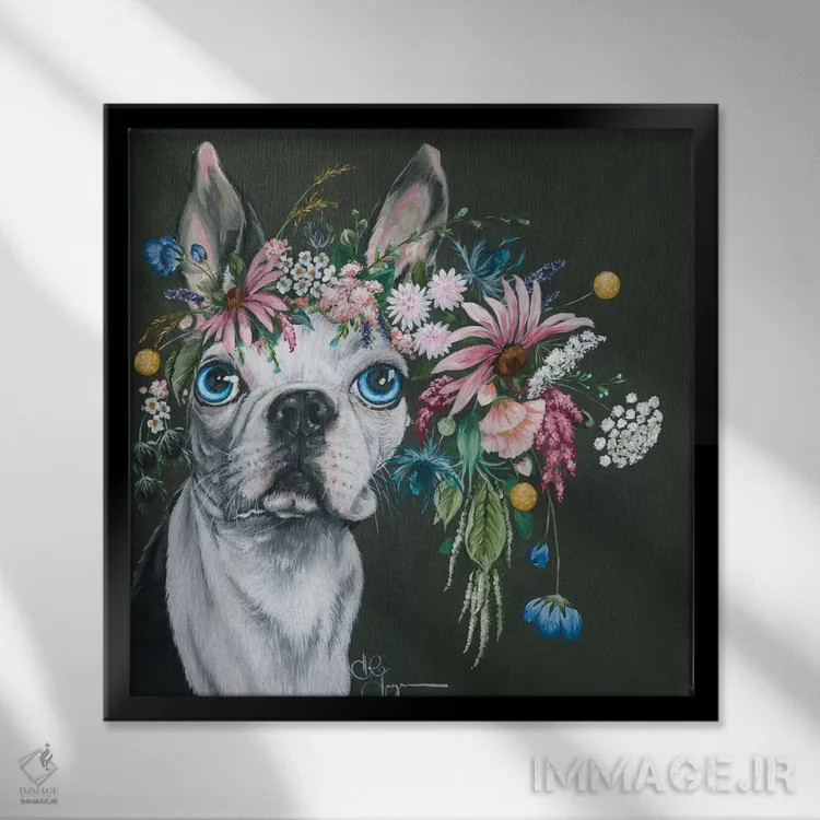 تابلو بوستون تریر (نژاد سگ) اثر هولیهکس آرت (استودیو هنری) - نمای قابدار مشکی