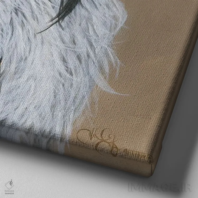 تابلو خانم کالووی اثر هولیهکس آرت (استودیو هنری) - نمای نزدیک بافت بوم