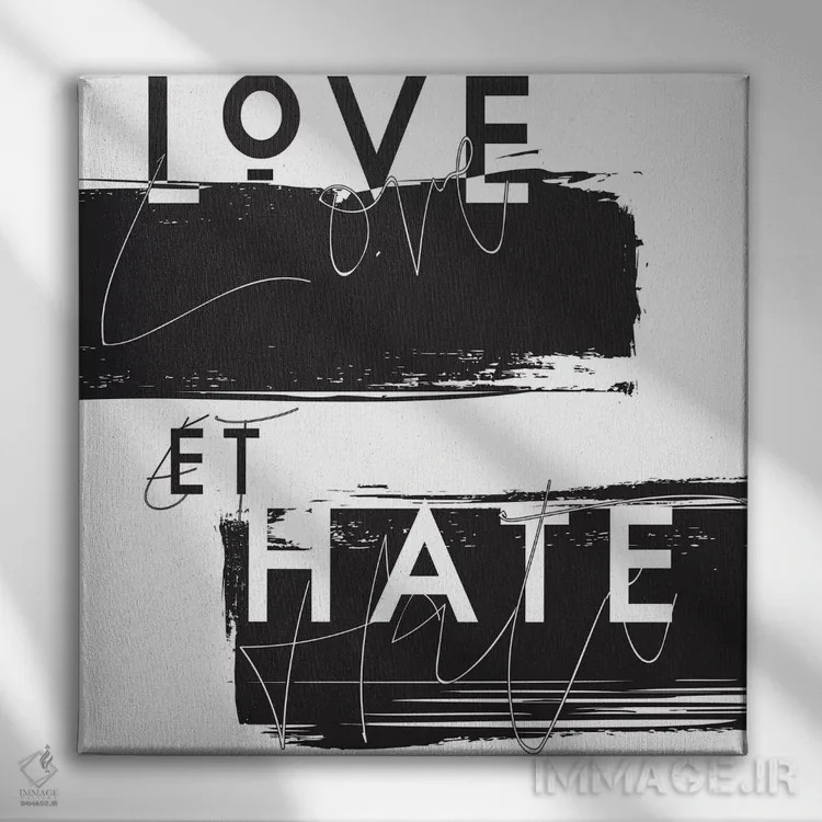 تابلو عشق و نفرت (انگلیسی-فرانسوی) اثر هانیمون هتل (برند هنری) - نمای روبهرو روی دیوار