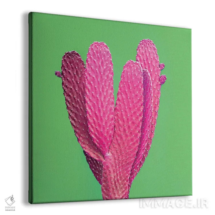 تابلو کاکتوس با درخشش سبز اثر هانیمون هتل (برند هنری) - نمای پرسپکتیو محصول