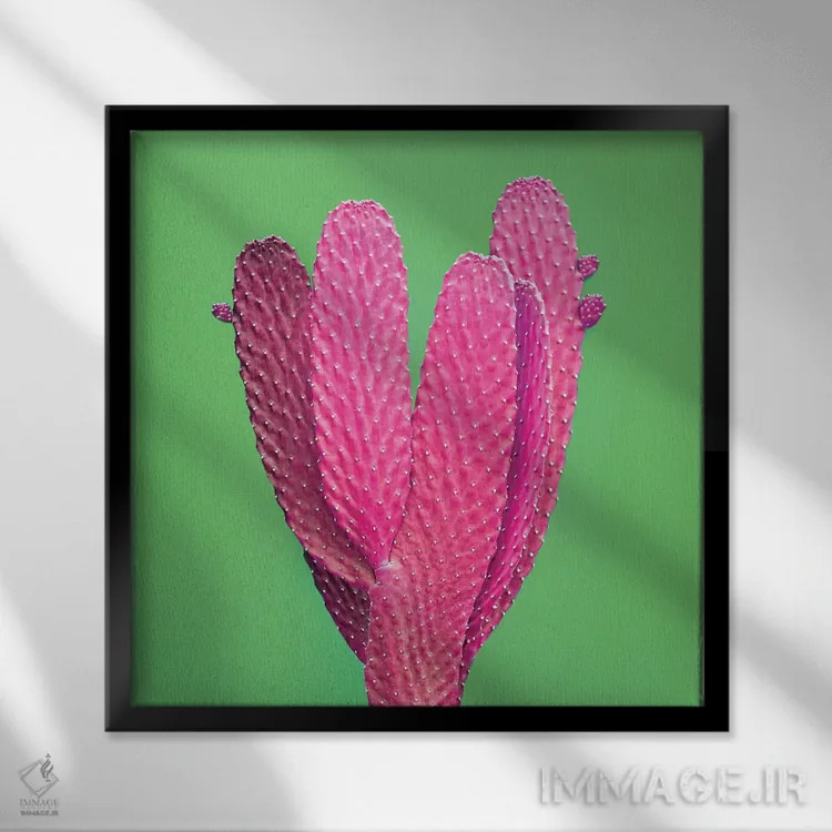 تابلو کاکتوس با درخشش سبز اثر هانیمون هتل (برند هنری) - نمای قابدار مشکی