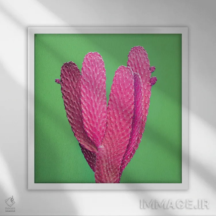تابلو کاکتوس با درخشش سبز اثر هانیمون هتل (برند هنری) - نمای قابدار سفید