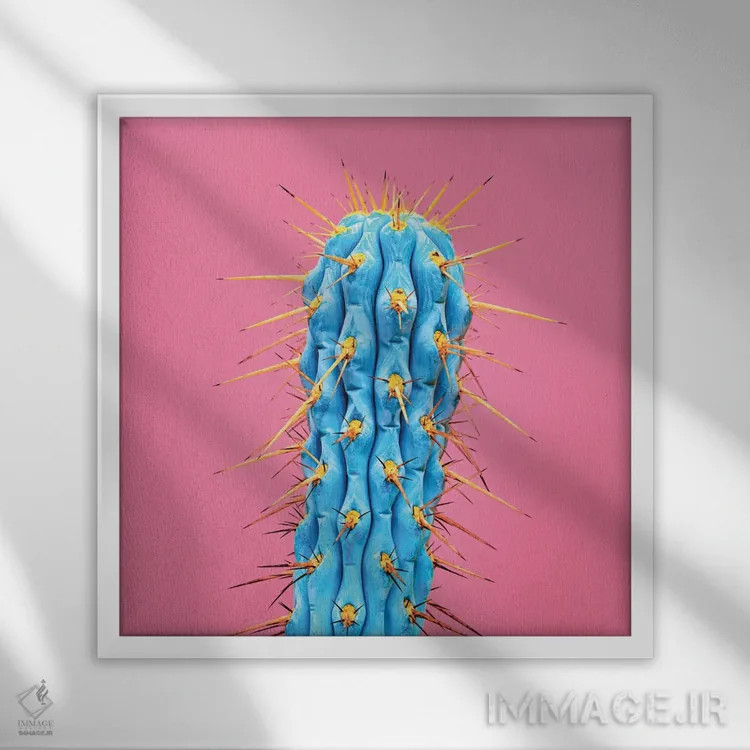 تابلو کاکتوس فرابنفش اثر هانیمون هتل (برند هنری) - نمای قابدار سفید