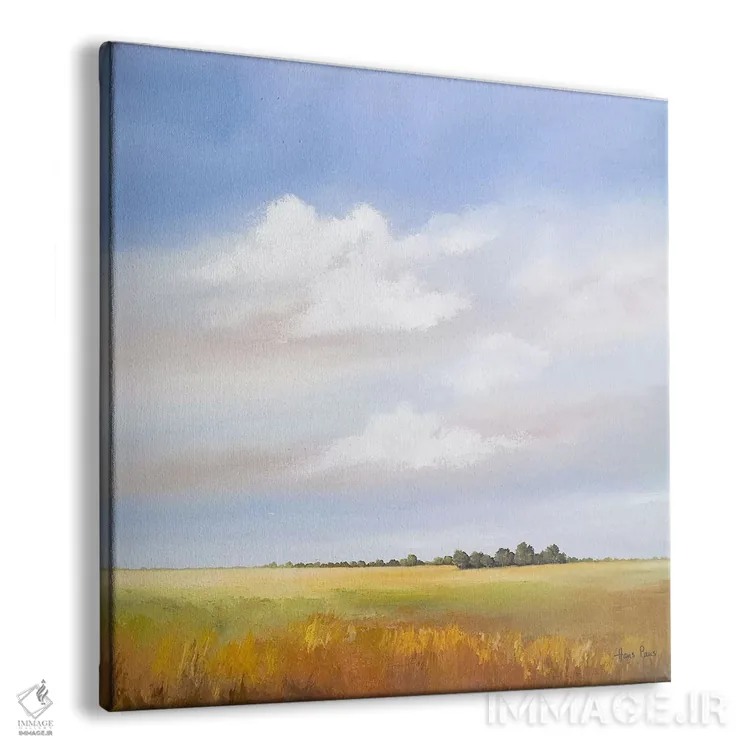 تابلو دشتهای کمارتفاع ۴ اثر هانس پاوس - نمای پرسپکتیو محصول