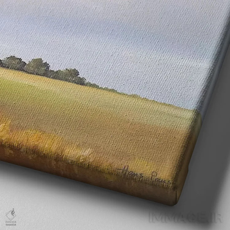 تابلو دشتهای کمارتفاع ۴ اثر هانس پاوس - نمای نزدیک بافت بوم