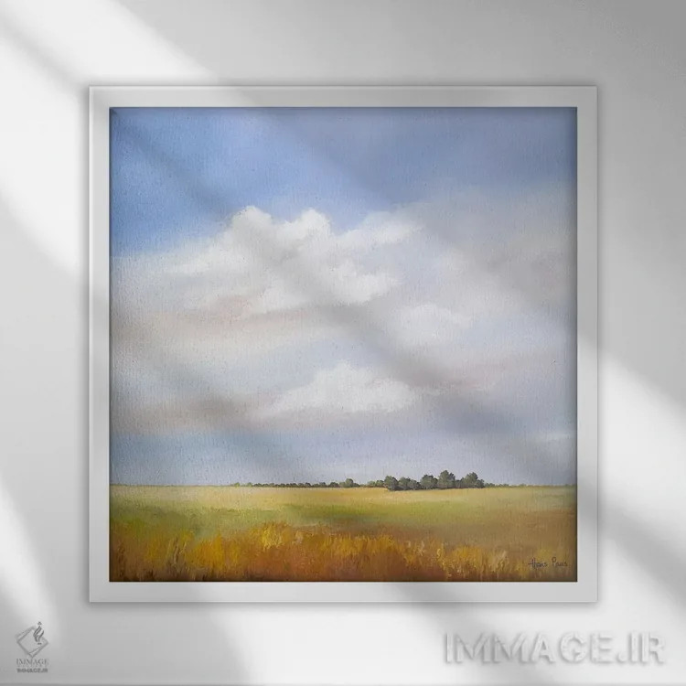 تابلو دشتهای کمارتفاع ۴ اثر هانس پاوس - نمای قابدار سفید
