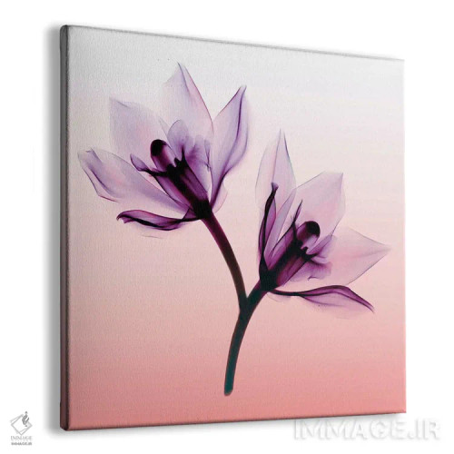 تابلو ارکیدهها دو اثر هونگ فام - نمای پرسپکتیو محصول