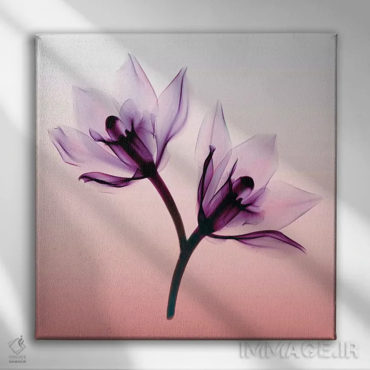 تابلو ارکیدهها دو اثر هونگ فام - نمای روبهرو روی دیوار