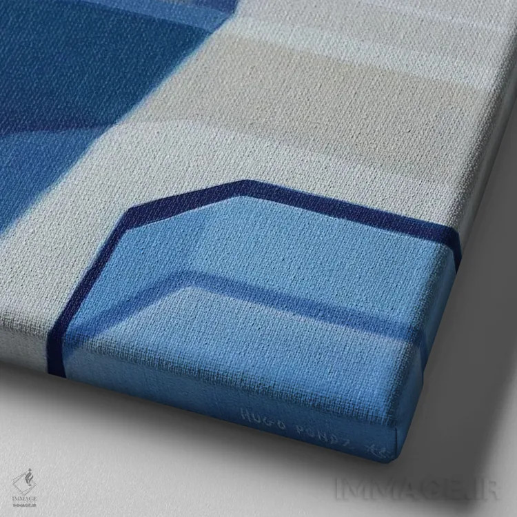 تابلو قفس اثر هیوگو پوندز - نمای نزدیک بافت بوم