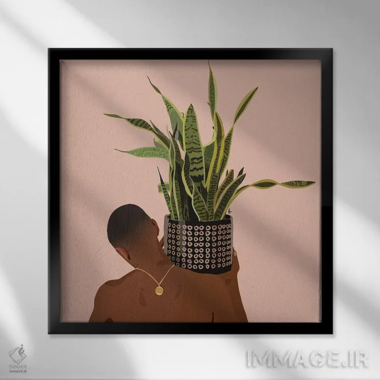 تابلو بابای گیاه سانسوریا اثر آرتپِیسیئی - نمای قابدار مشکی