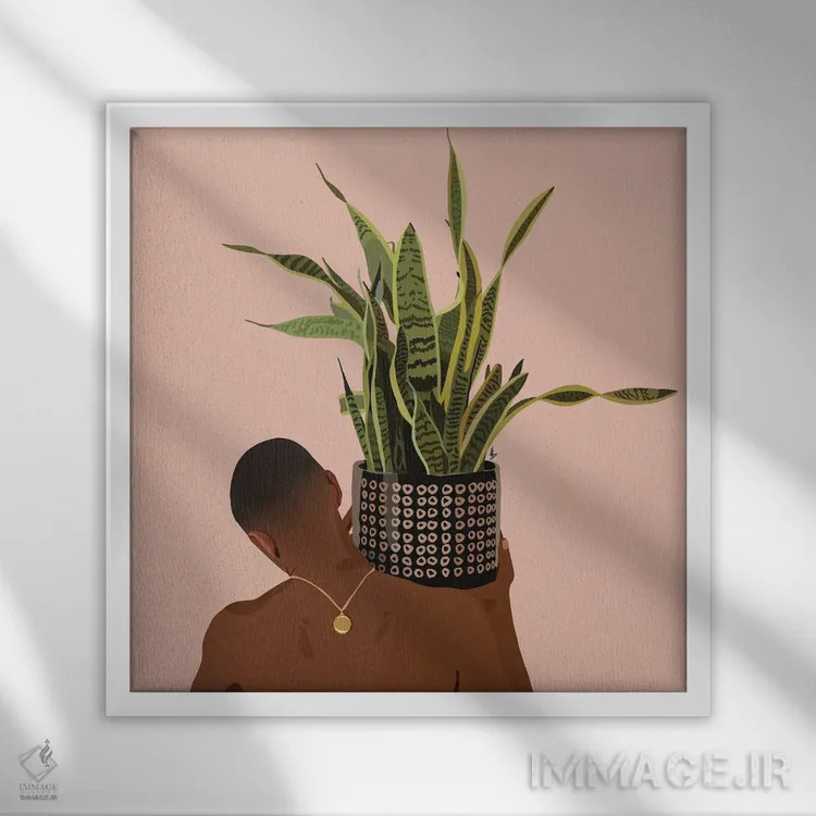 تابلو بابای گیاه سانسوریا اثر آرتپِیسیئی - نمای قابدار سفید