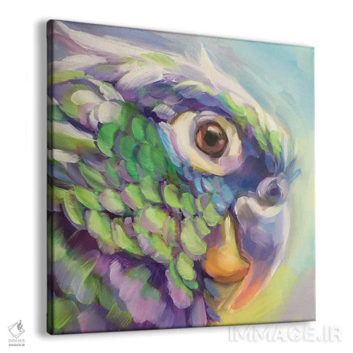 تابلو مطالعه مینی طوطی ۵ اثر هالی استورلی - نمای پرسپکتیو محصول