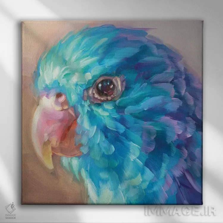 تابلو مطالعه مینی طوطی ۹ اثر هالی استورلی - نمای روبهرو روی دیوار