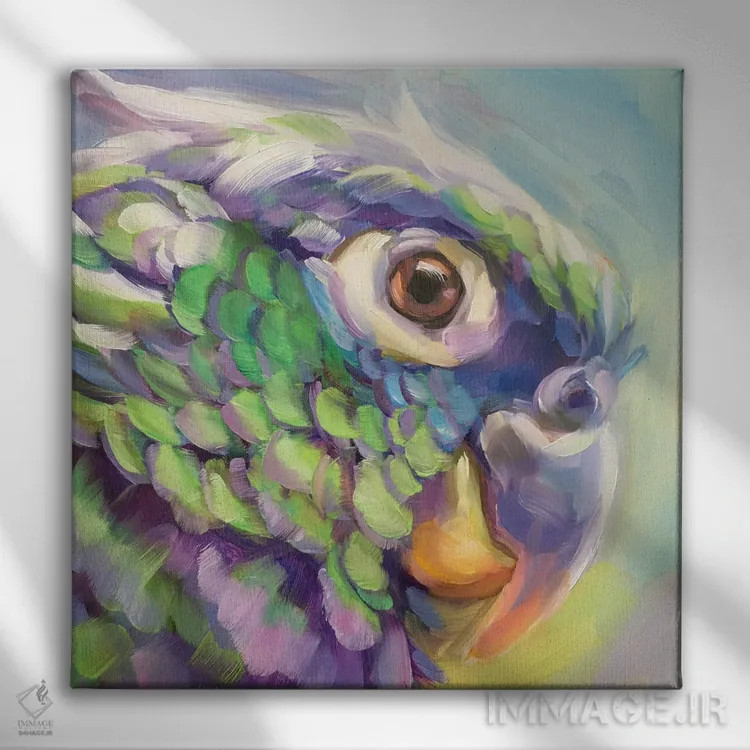 تابلو مطالعه مینی طوطی ۵ اثر هالی استورلی - نمای روبهرو روی دیوار