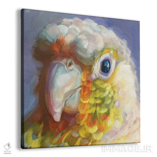 تابلو مطالعه مینی طوطی ۸ اثر هالی استورلی - نمای پرسپکتیو محصول