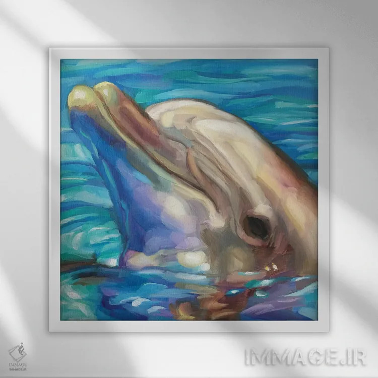 تابلو مطالعه دلفین اثر هالی استورلی - نمای قابدار سفید