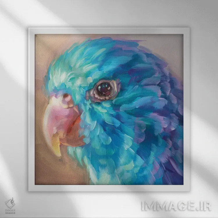 تابلو مطالعه مینی طوطی ۹ اثر هالی استورلی - نمای قابدار سفید