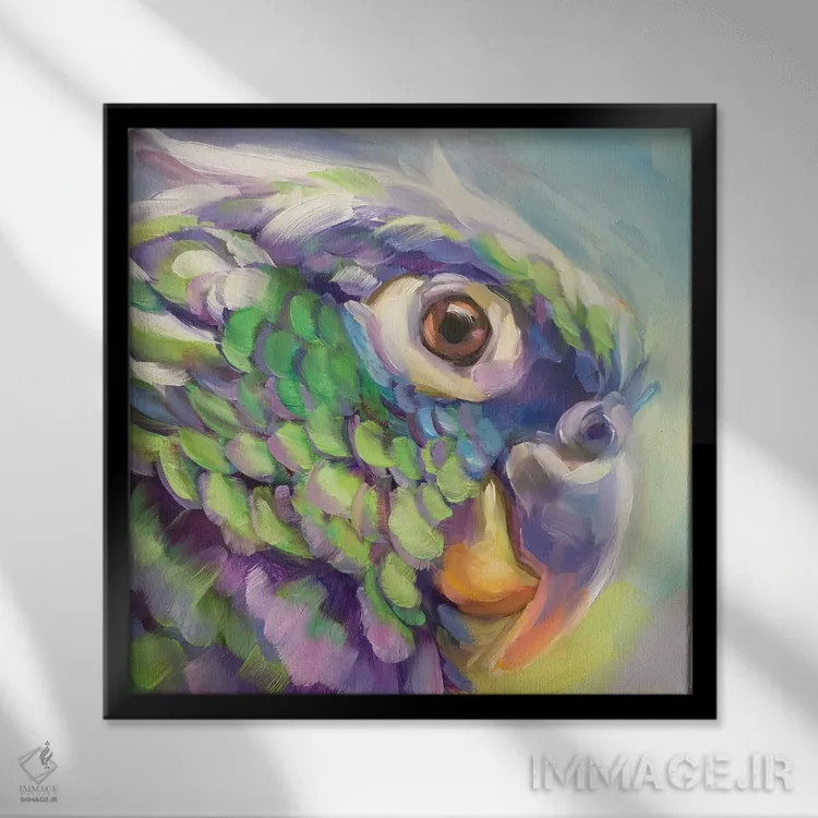 تابلو مطالعه مینی طوطی ۵ اثر هالی استورلی - نمای قابدار مشکی