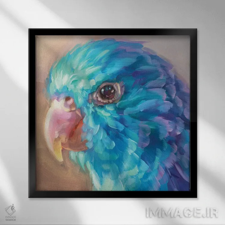 تابلو مطالعه مینی طوطی ۹ اثر هالی استورلی - نمای قابدار مشکی