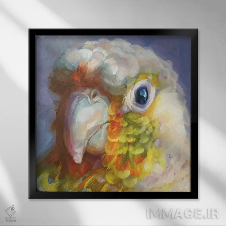 تابلو مطالعه مینی طوطی ۸ اثر هالی استورلی - نمای قابدار مشکی