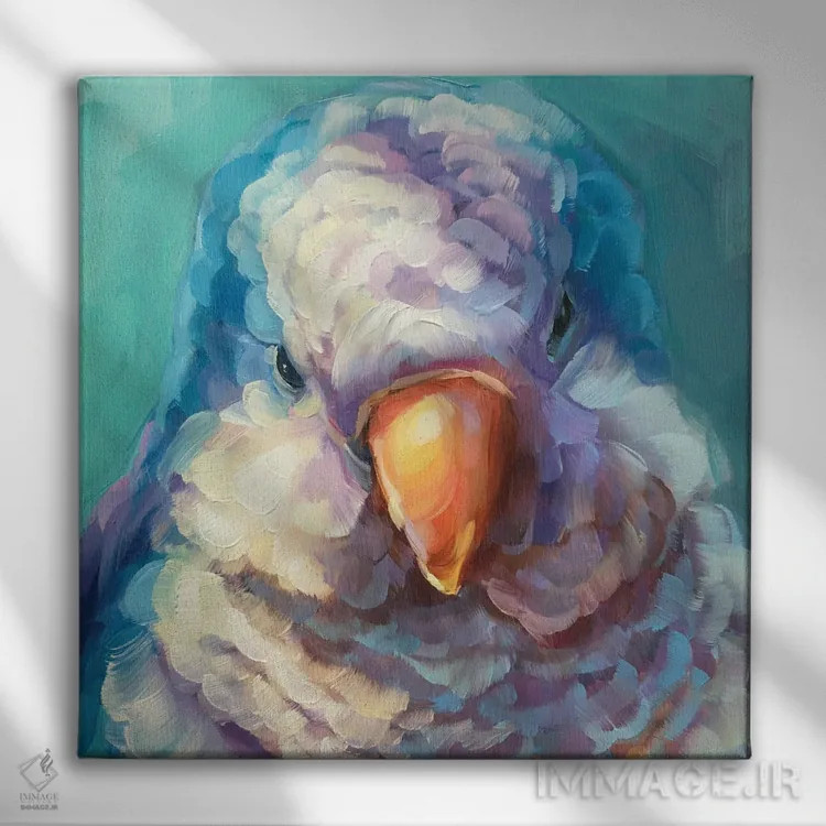 تابلو مطالعه مینی طوطی ۲ اثر هالی استورلی - نمای روبهرو روی دیوار