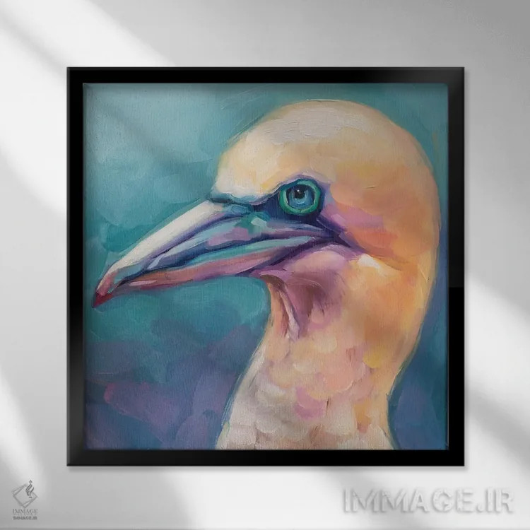 تابلو مطالعه پرنده ۶ اثر هالی استورلی - نمای قابدار مشکی