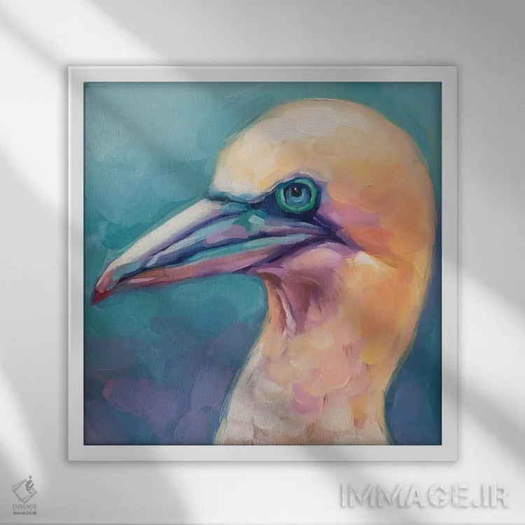 تابلو مطالعه پرنده ۶ اثر هالی استورلی - نمای قابدار سفید