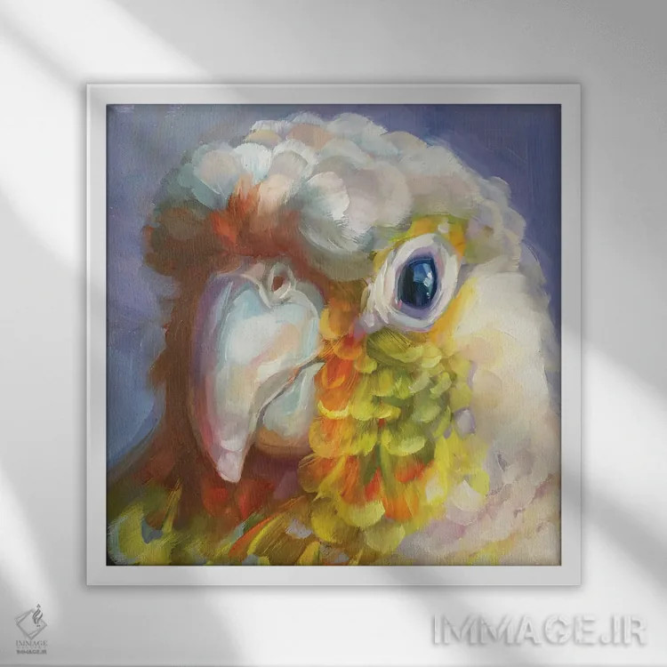 تابلو مطالعه مینی طوطی ۸ اثر هالی استورلی - نمای قابدار سفید