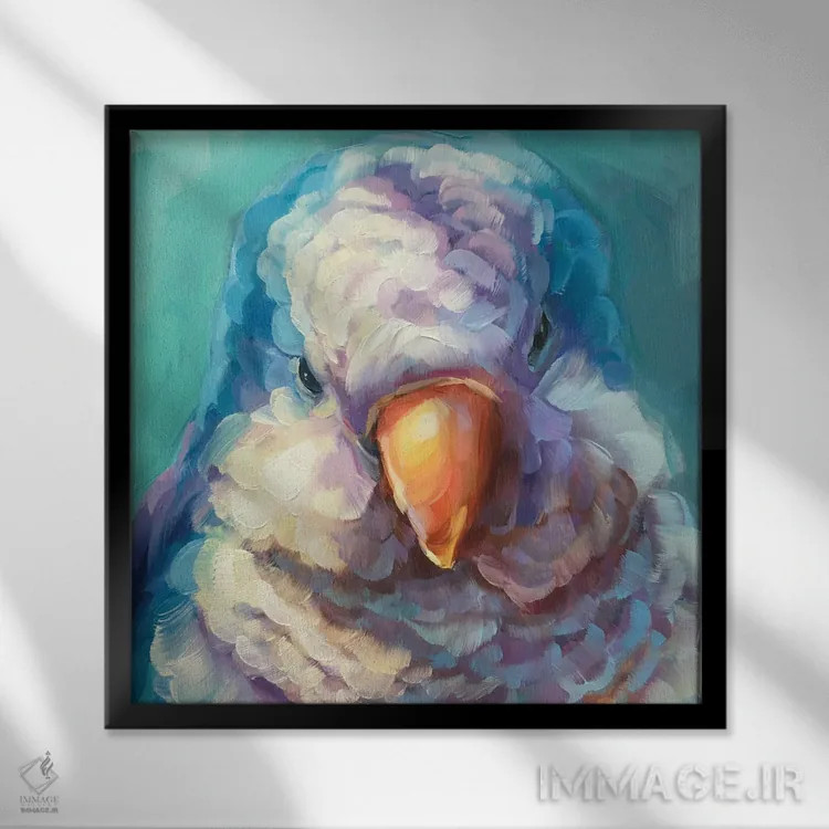 تابلو مطالعه مینی طوطی ۲ اثر هالی استورلی - نمای قابدار مشکی