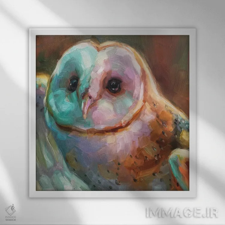 تابلو مطالعه جغد ۵ اثر هالی استورلی - نمای قابدار سفید