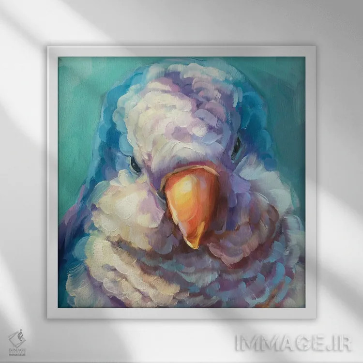 تابلو مطالعه مینی طوطی ۲ اثر هالی استورلی - نمای قابدار سفید